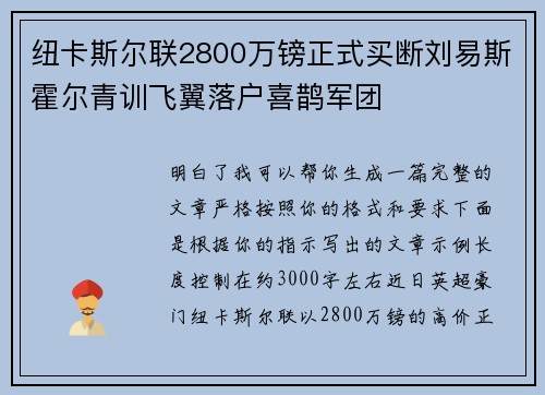 纽卡斯尔联2800万镑正式买断刘易斯霍尔青训飞翼落户喜鹊军团